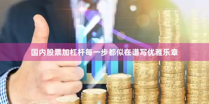 国内股票加杠杆每一步都似在谱写优雅乐章