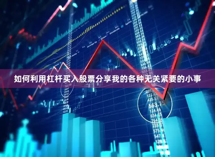 如何利用杠杆买入股票分享我的各种无关紧要的小事